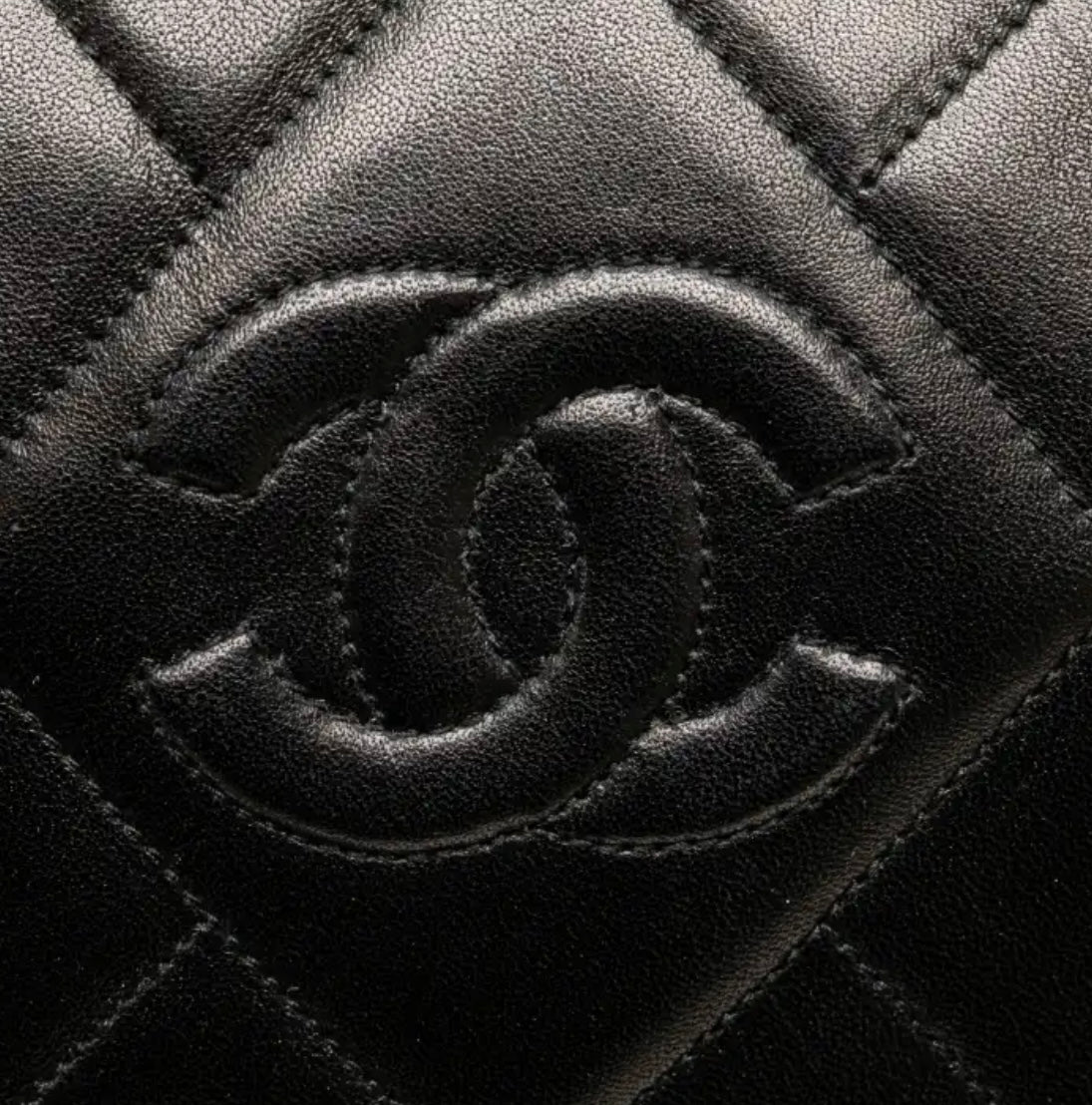 Chanel camera bag