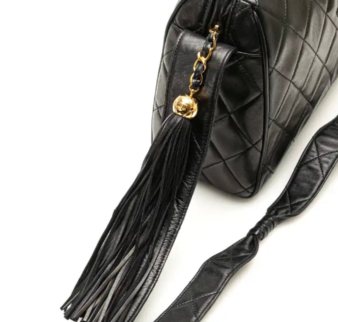 Chanel camera bag