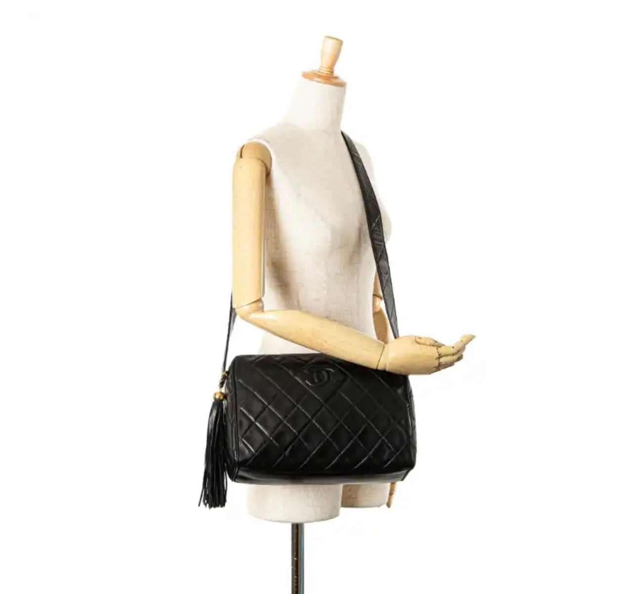 Chanel camera bag