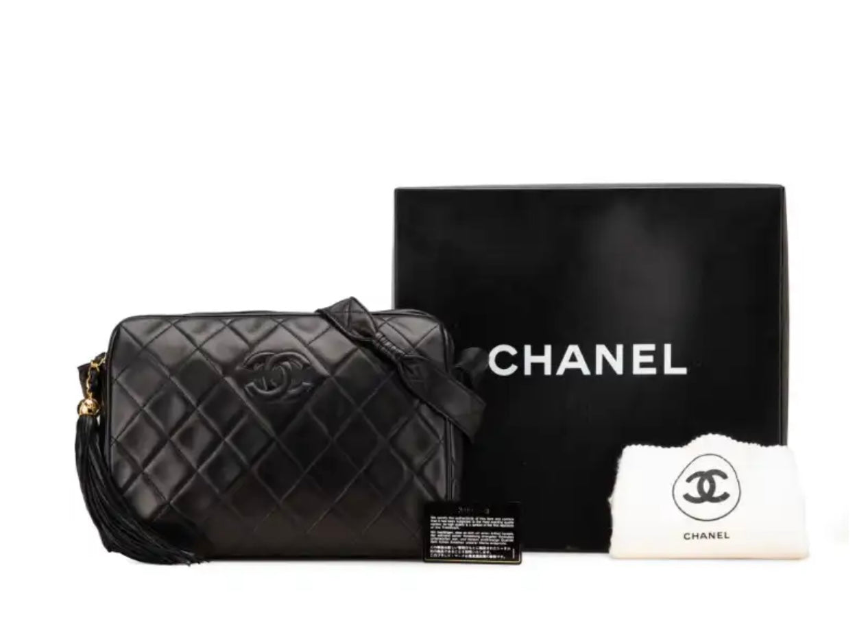 Chanel camera bag