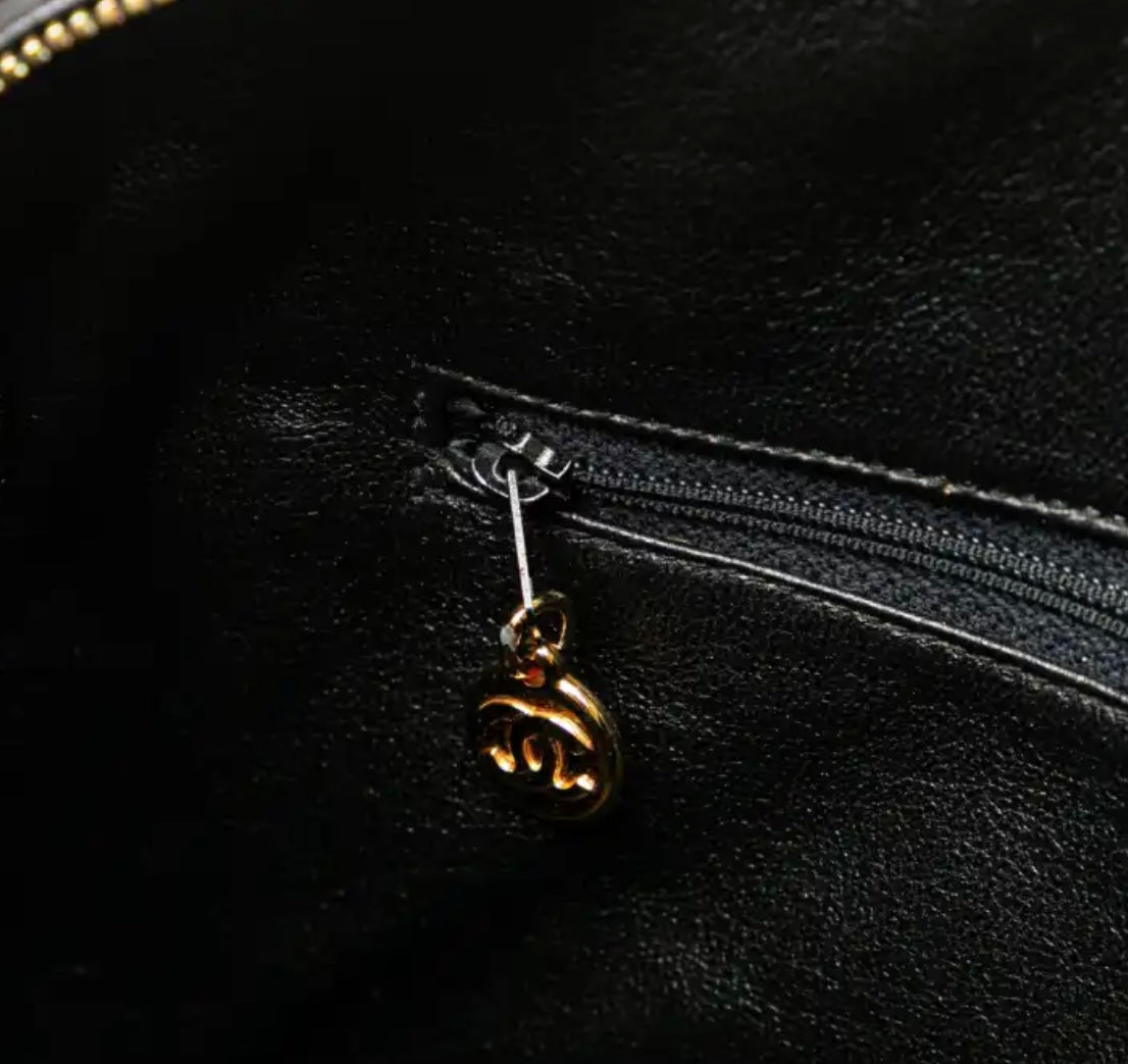 Chanel camera bag