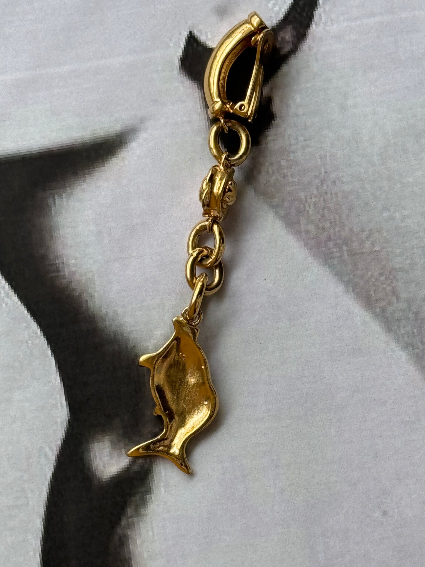 Orecchini YSL