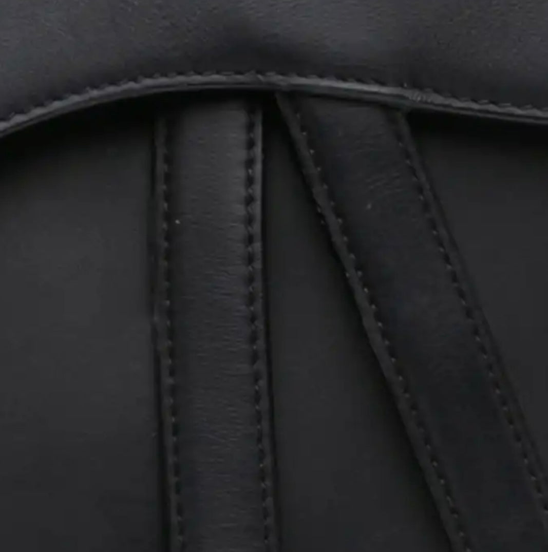 Saddle Dior nera