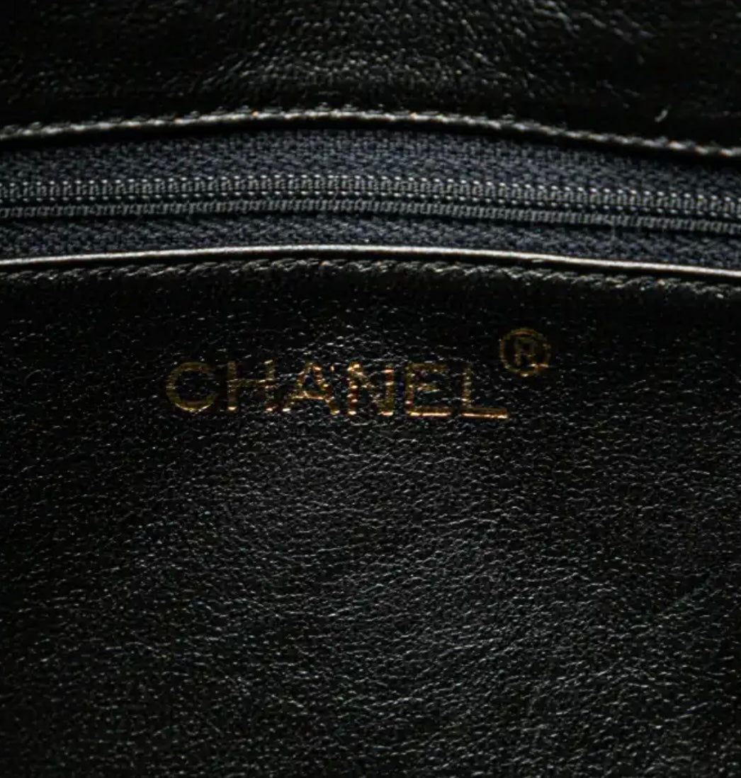 Chanel camera bag