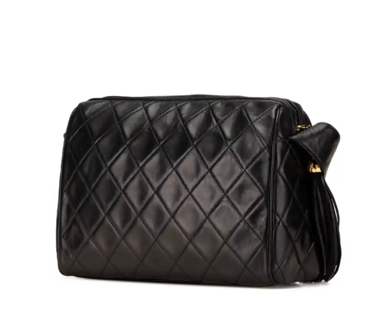 Chanel camera bag