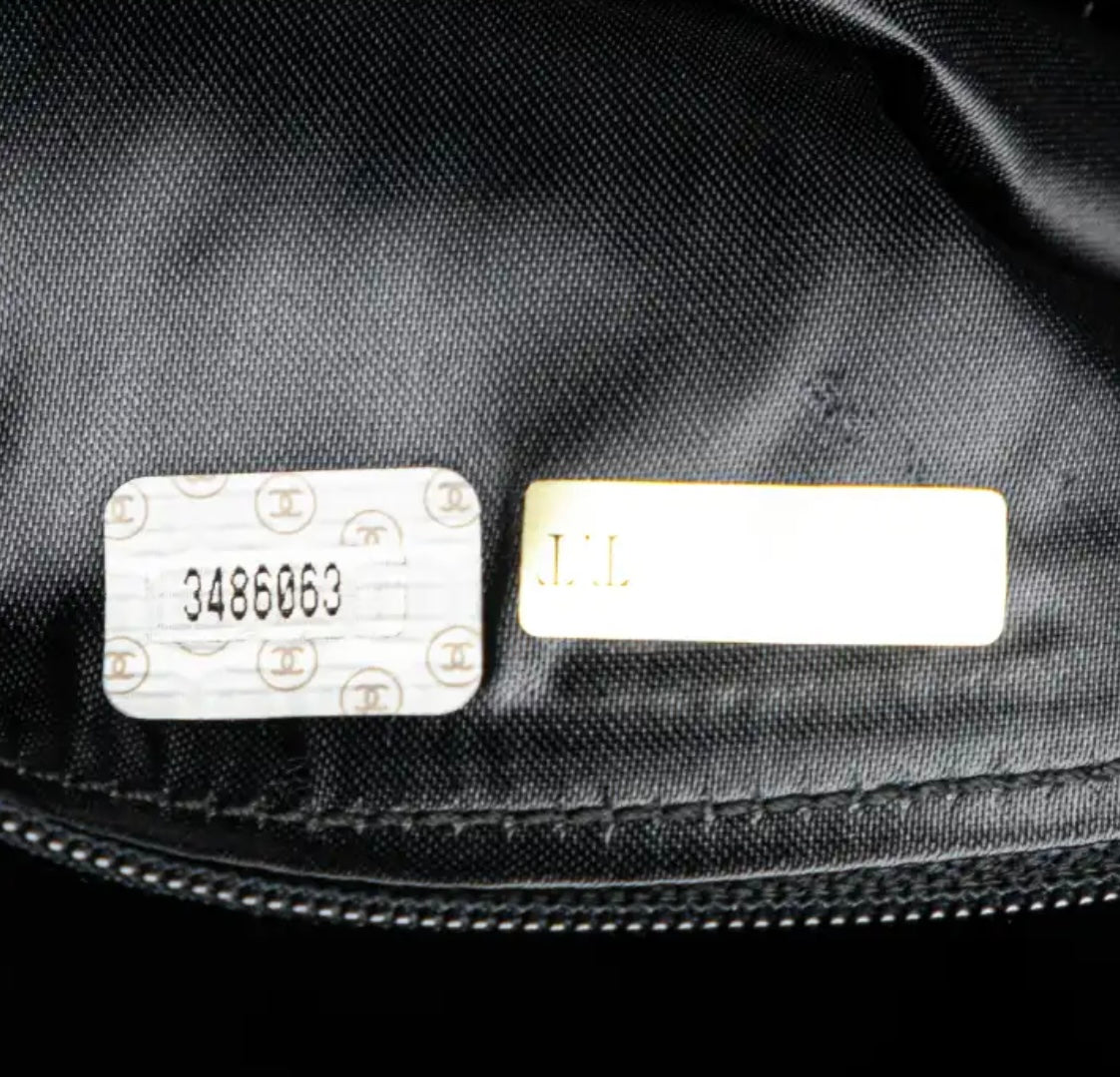 Chanel camera bag