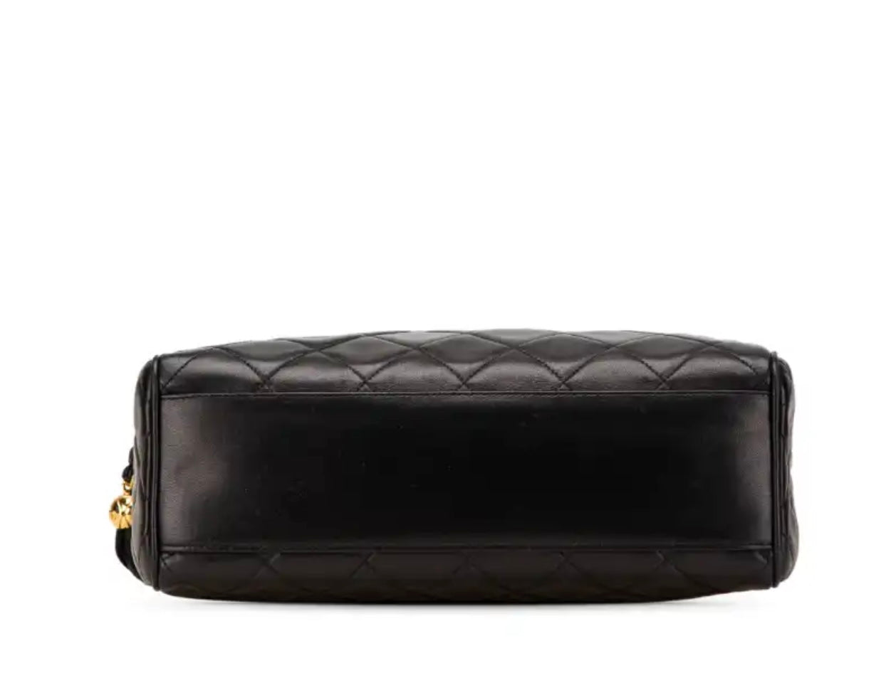 Chanel camera bag