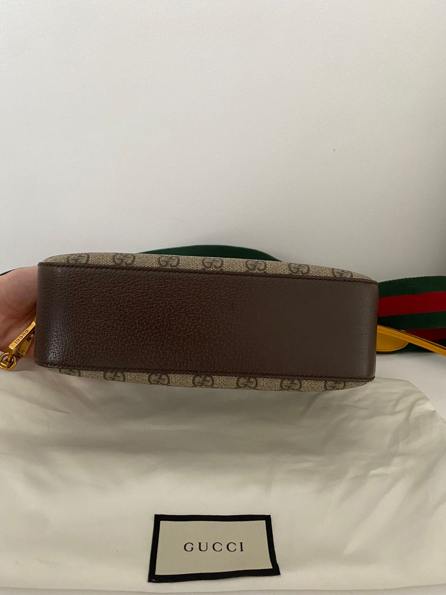 Gucci camera bag