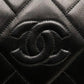 Chanel camera bag