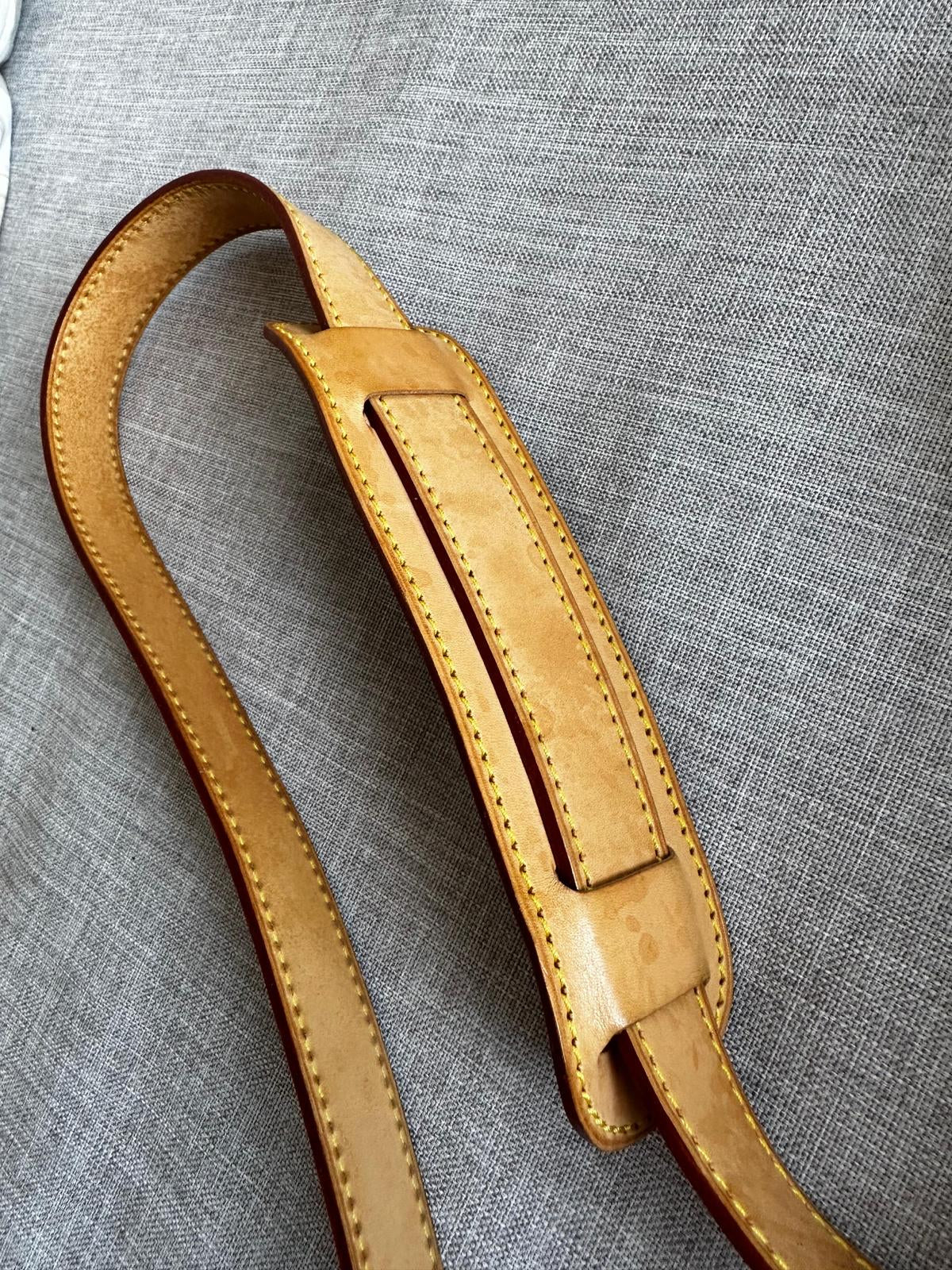 Vuitton Hudson Crossbody Bag