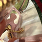 Gucci ophidia