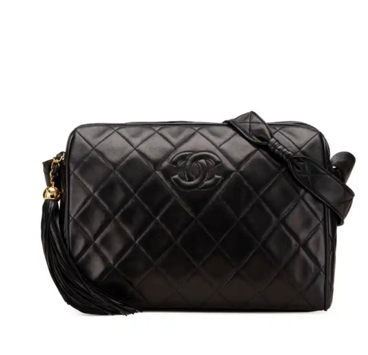 Chanel camera bag