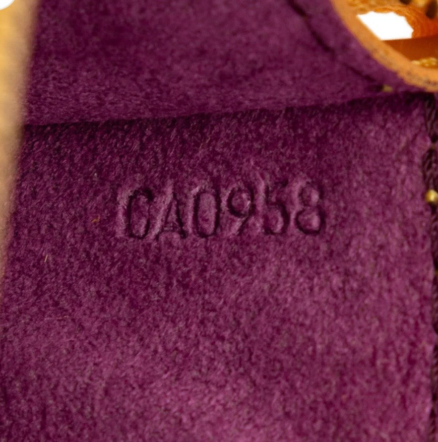 Louis Vuitton Pochette Accessoire Epi
