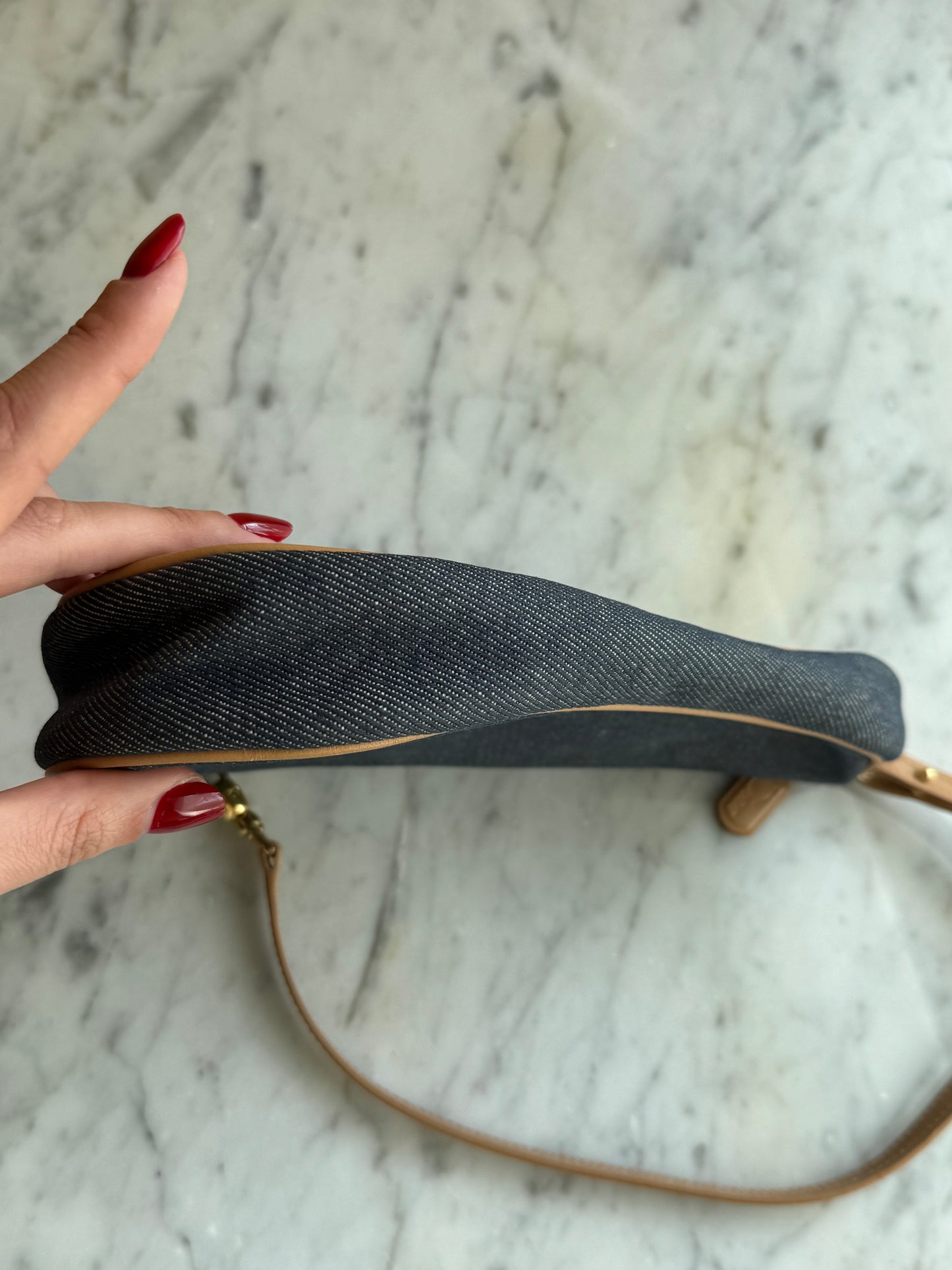 Saddle Dior denim