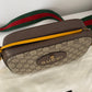 Gucci camera bag
